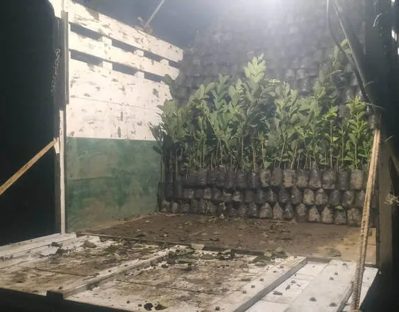 Bibit sampai di lokasi pelanggan