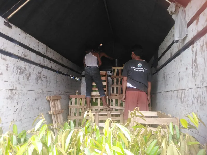 Packing media tanam khusus
