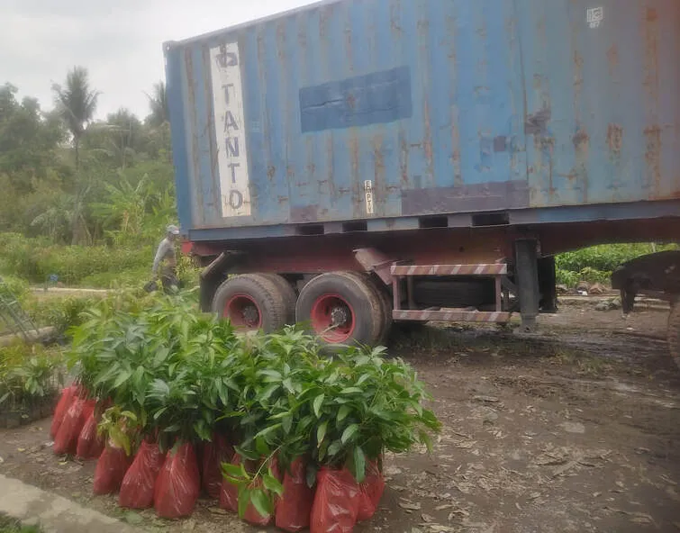 Loading bibit ke kargo udara