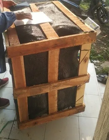 Proses packing bibit